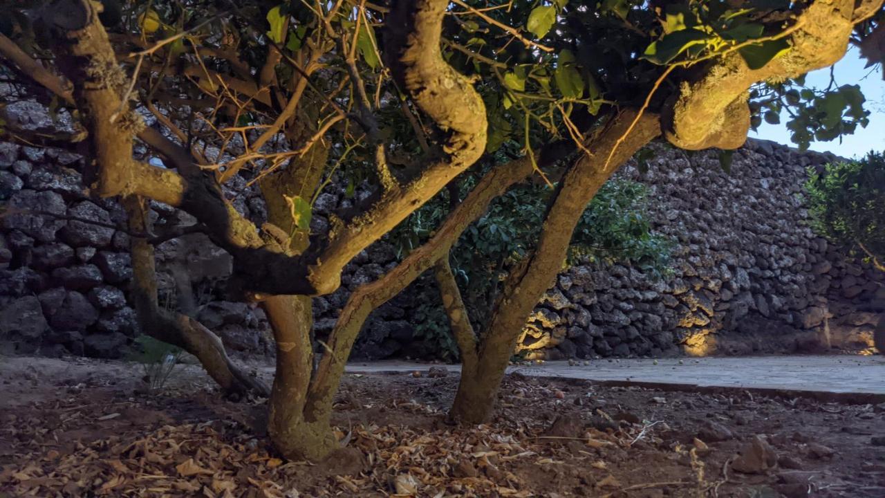 Horizon Pantelleria Bed & Breakfast *